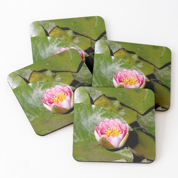Item preview, Pink water lilies flowers and leaves  designed and sold by EstelleRossetti.
