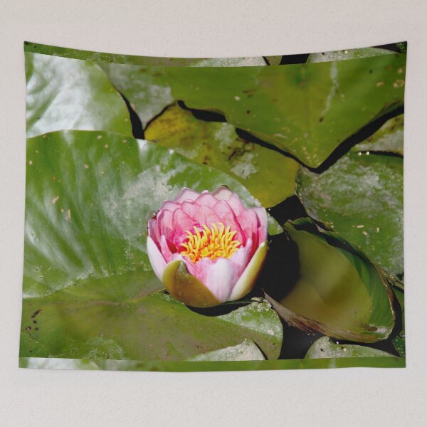 Item preview, Pink water lilies flowers and leaves  designed and sold by EstelleRossetti.