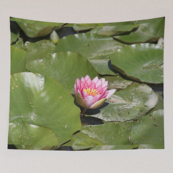 Item preview, Pink water lilies flowers and leaves  designed and sold by EstelleRossetti.
