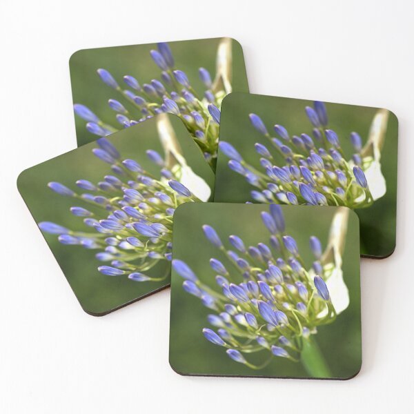 Item preview, Blue Agapanthus Flower Hand designed and sold by Joy Watson - Natural Light Photography .
