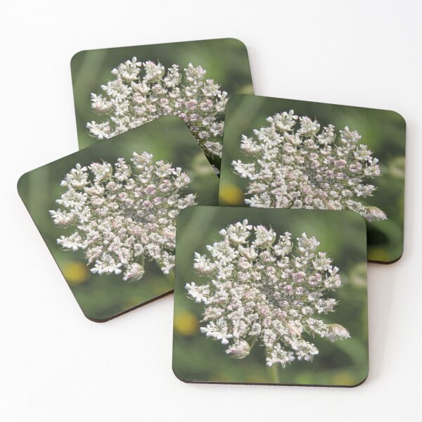 Item preview, Wild white umbel flower head designed and sold by EstelleRossetti.
