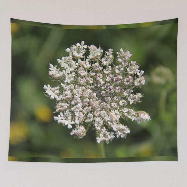 Item preview, Wild white umbel flower head designed and sold by EstelleRossetti.