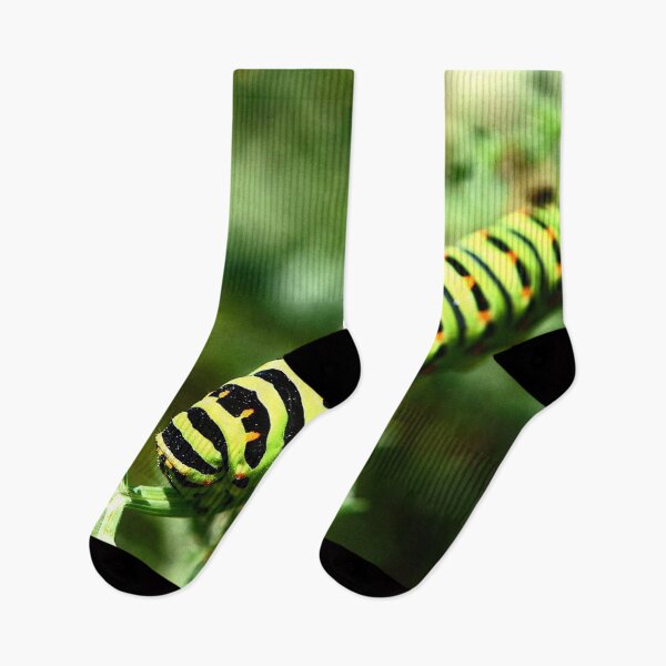Item preview, Swallowtail Caterpillar (MKW-I.61) designed and sold by Katrina Morgan.