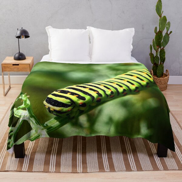 Item preview, Swallowtail Caterpillar (MKW-I.61) designed and sold by Katrina Morgan.
