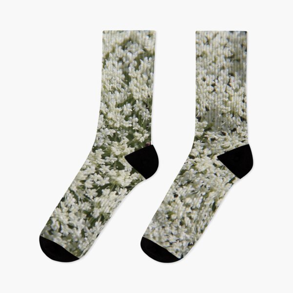 Item preview, Wild white umbel flower head designed and sold by EstelleRossetti.