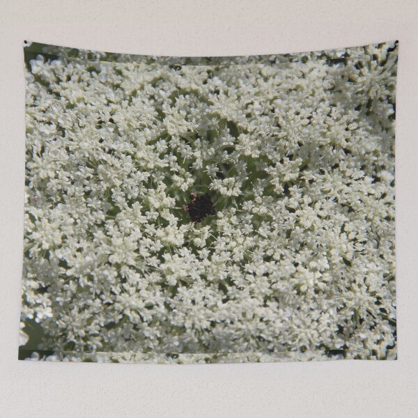 Item preview, Wild white umbel flower head designed and sold by EstelleRossetti.