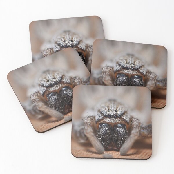 Item preview, Wolf Spider (MKW-I.66) designed and sold by Katrina Morgan.