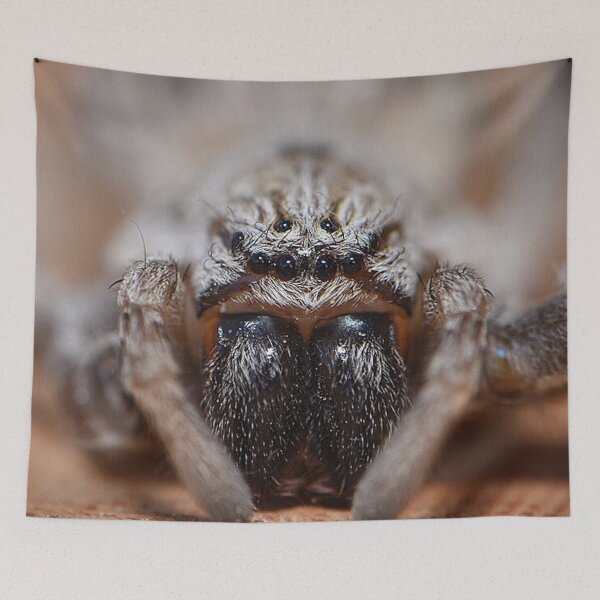 Item preview, Wolf Spider (MKW-I.66) designed and sold by Katrina Morgan.