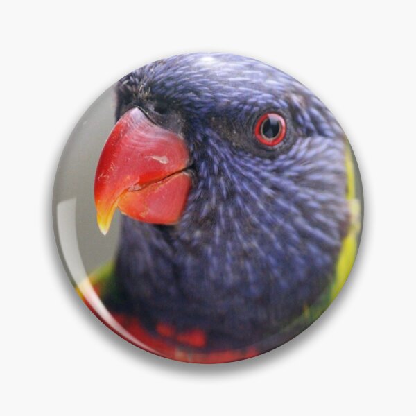 Item preview, Lorikeet designed and sold by DevineArt.