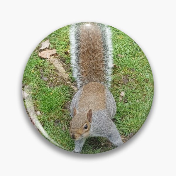 Item preview, Squirrels of Wimbledon 2 - on guard designed and sold by ellenhenry.