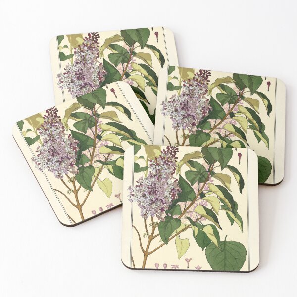 Item preview, French botanical flower plate - Anna Martin - Lilas designed and sold by DejaVuStudio.
