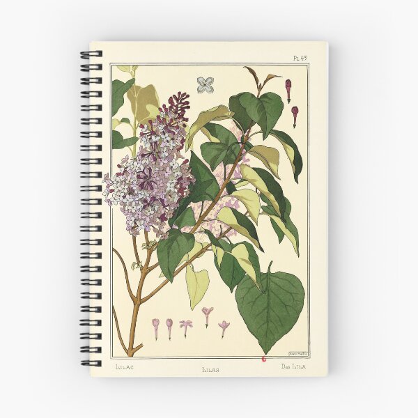Item preview, French botanical flower plate - Anna Martin - Lilas designed and sold by DejaVuStudio.