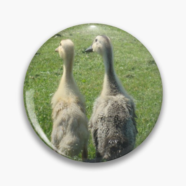 Item preview, Indian Runner Ducklings designed and sold by imphavok.
