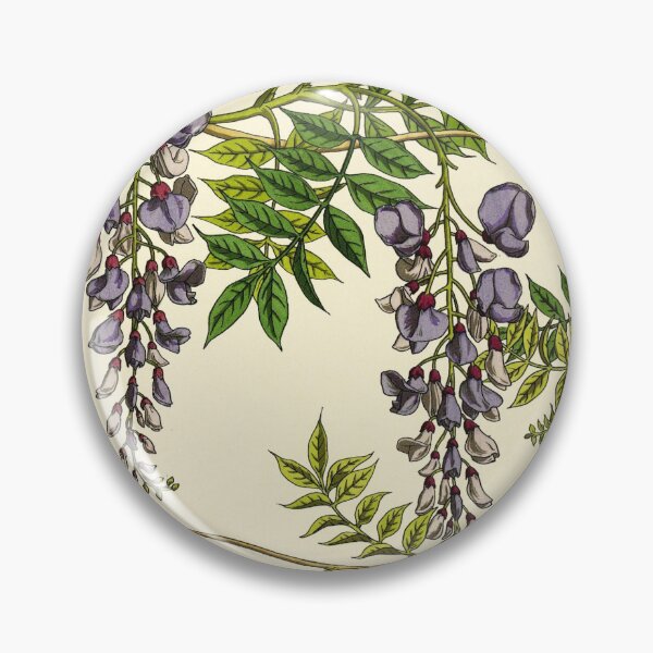 Item preview, French botanical flower plate - Maurice Verneuil - Glycine designed and sold by DejaVuStudio.