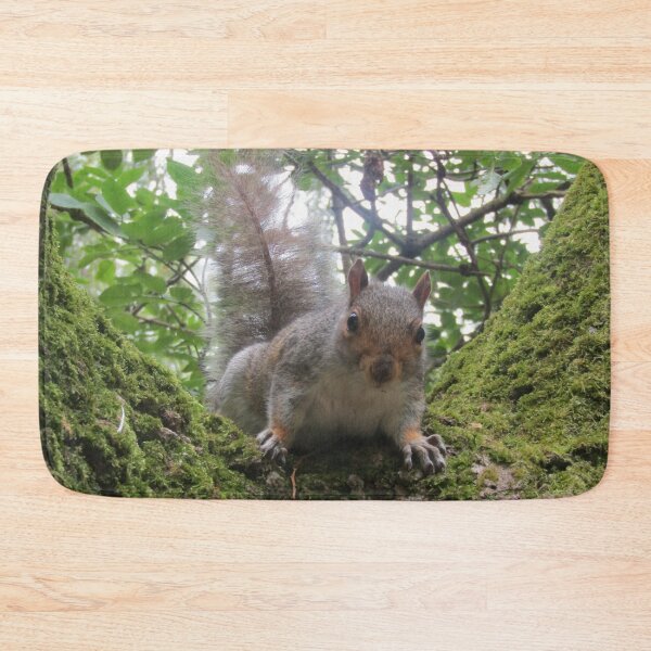 Item preview, A cheeky grey squirrel designed and sold by joshuarainbird.