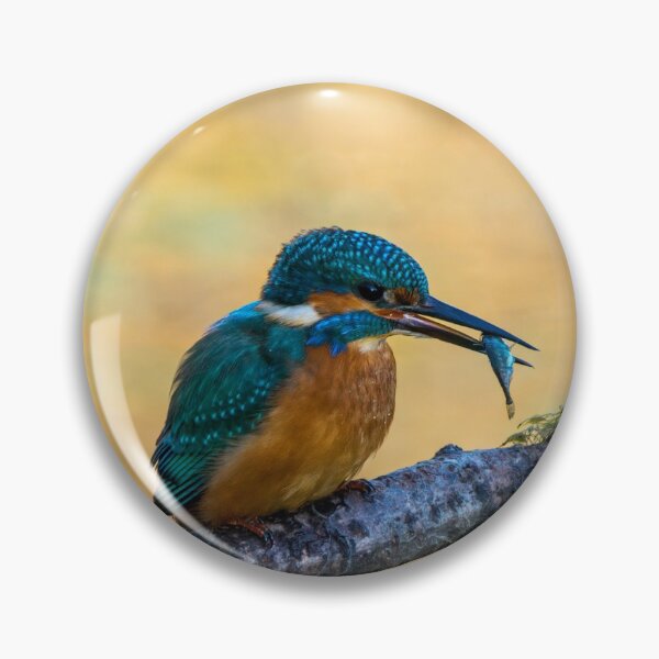 Artikelvorschau, Kingfisher entworfen und verkauft von iCimages.net.