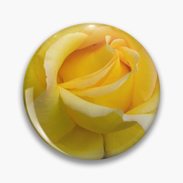 Artikelvorschau, Yellow rose entworfen und verkauft von iCimages.net.
