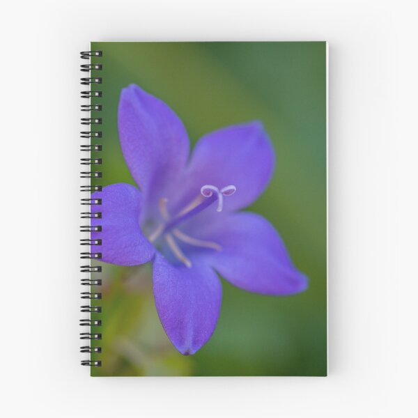 Item preview, Bellflower designed and sold by iCimages.net.