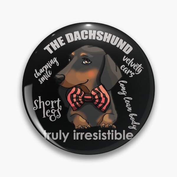 Item preview, Dachshund anatomy, what makes the doxie so irresistible designed and sold by Sofia Dimitriadou.