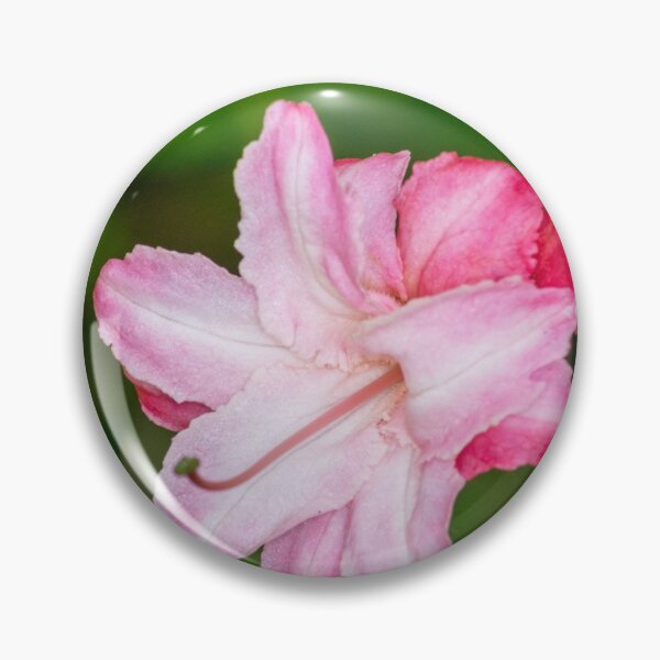 Artikelvorschau, Rhododendron flower entworfen und verkauft von iCimages.net.