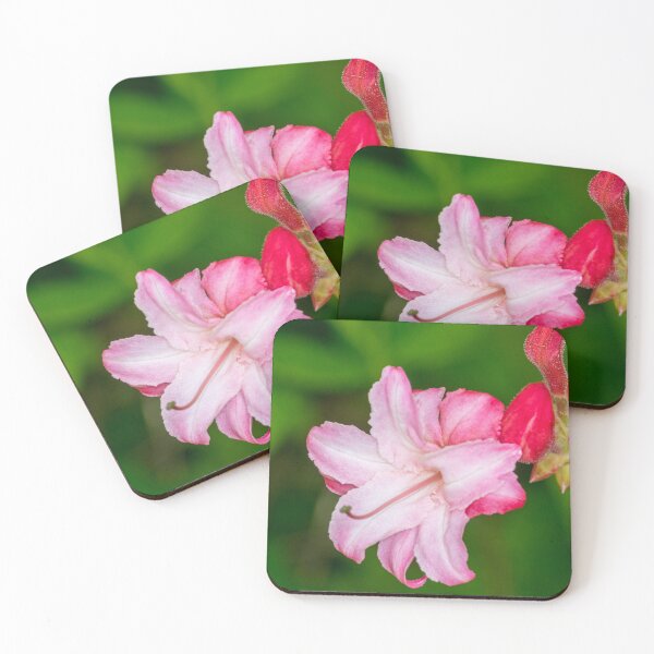Item preview, Rhododendron flower designed and sold by iCimages.net.