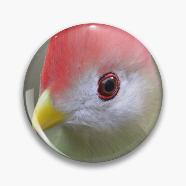 Item preview, Red Crested Turaco designed and sold by richardbryce.