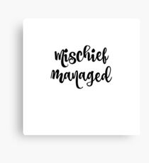 Mischief Managed Canvas Print