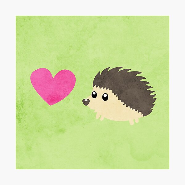 Hedgehog Love Photographic Print