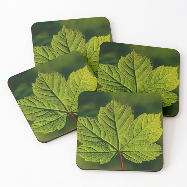 Item preview, Sycamore leaf designed and sold by iCimages.net.