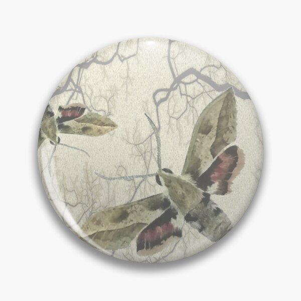 Item preview, Spurge Hawk Moths designed and sold by Sueburnsinsects.