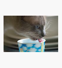 Precious Photographic Print