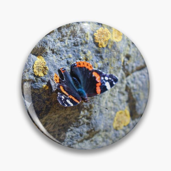 Artikelvorschau, Schmetterling an der Wand entworfen und verkauft von Wanderlora.