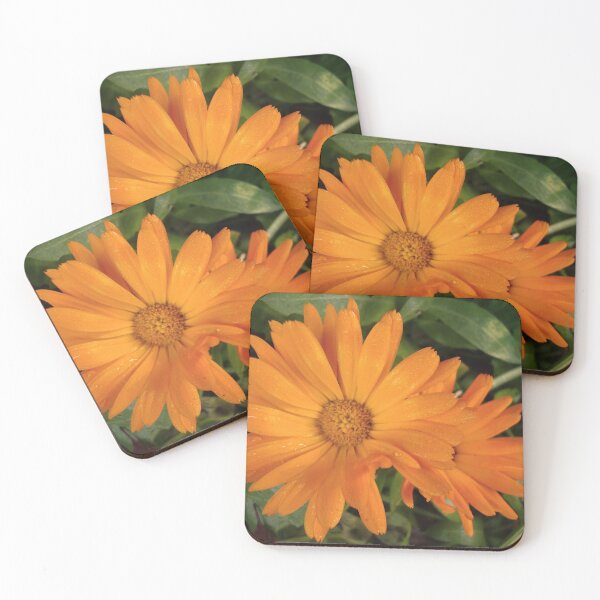 Item preview, Autumn Marigold  designed and sold by Sweetairhead.