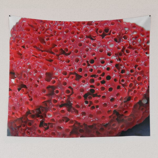 Item preview, Red Coral Texture designed and sold by worldways.