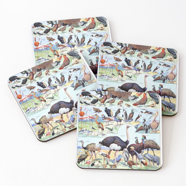 Item preview, Adolphe Millot - Oiseaux pour tous B - French vintage poster designed and sold by DejaVuStudio.