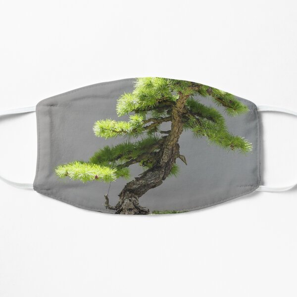 Japanese Bonsai Flat Mask