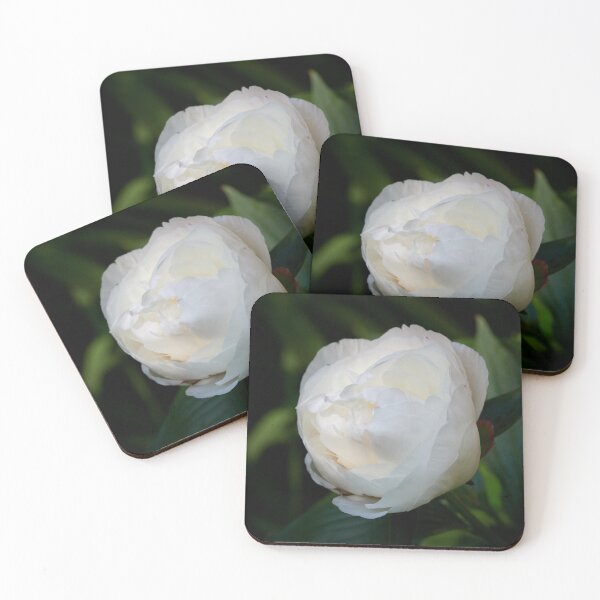 Item preview, Chinese Peony 'Shirley Temple' 4 designed and sold by Jouko Lehto Photography.