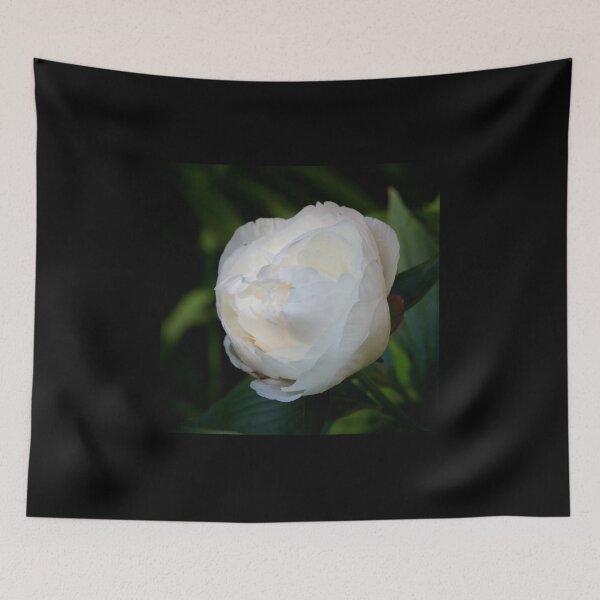 Item preview, Chinese Peony 'Shirley Temple' 4 designed and sold by Jouko Lehto Photography.