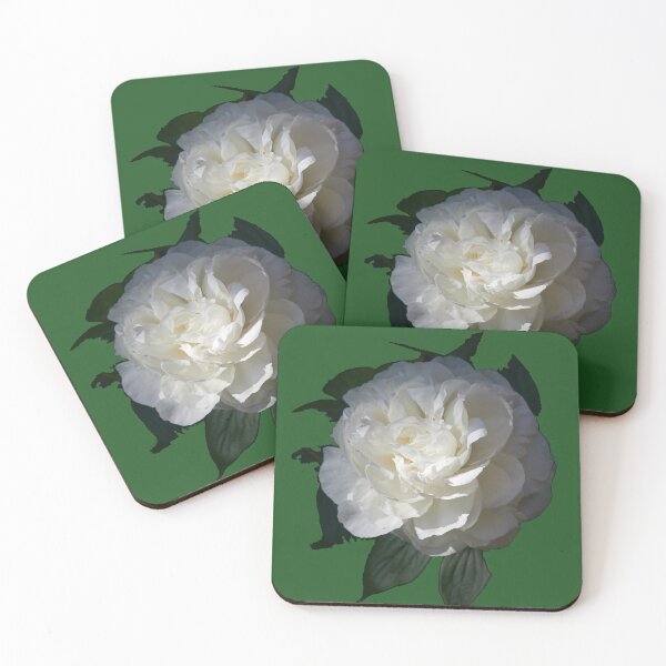 Item preview, Copy of Chinese Peony 'Shirley Temple' 3 transparent designed and sold by Jouko Lehto Photography.