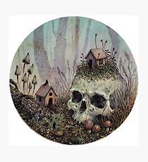 Little Forest Spirits Photographic Print
