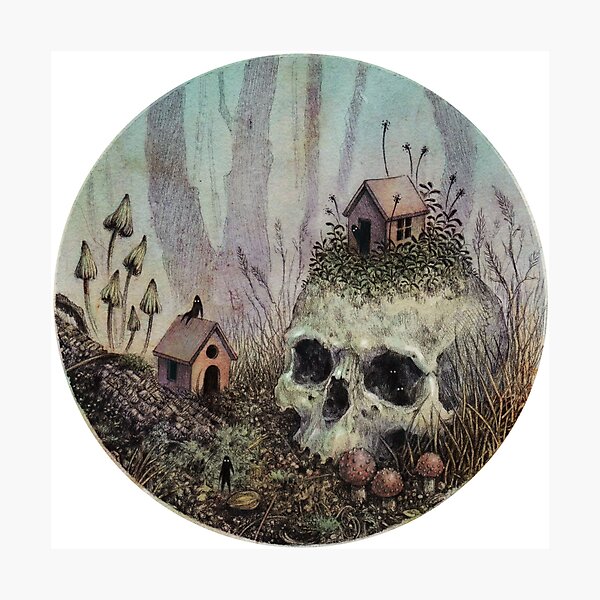 Little Forest Spirits Photographic Print