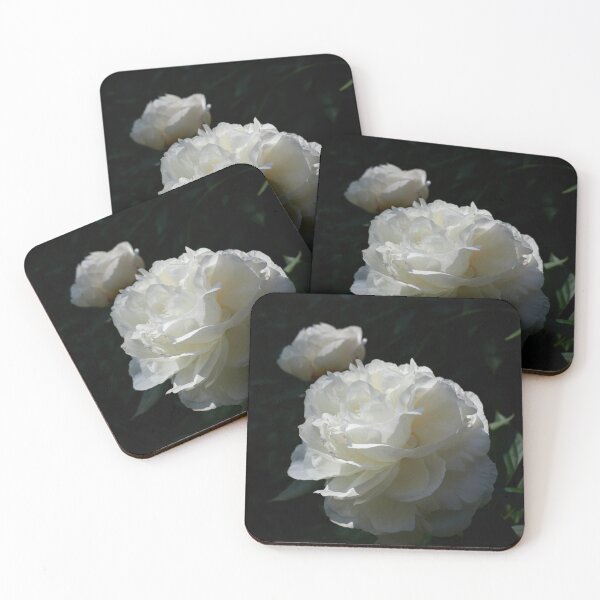 Item preview, Chinese Peony 'Shirley Temple' 6 designed and sold by Jouko Lehto Photography.