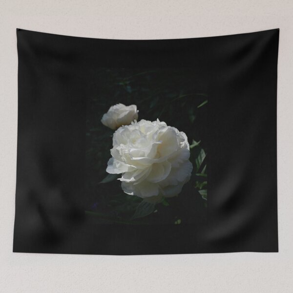 Item preview, Chinese Peony 'Shirley Temple' 6 designed and sold by Jouko Lehto Photography.