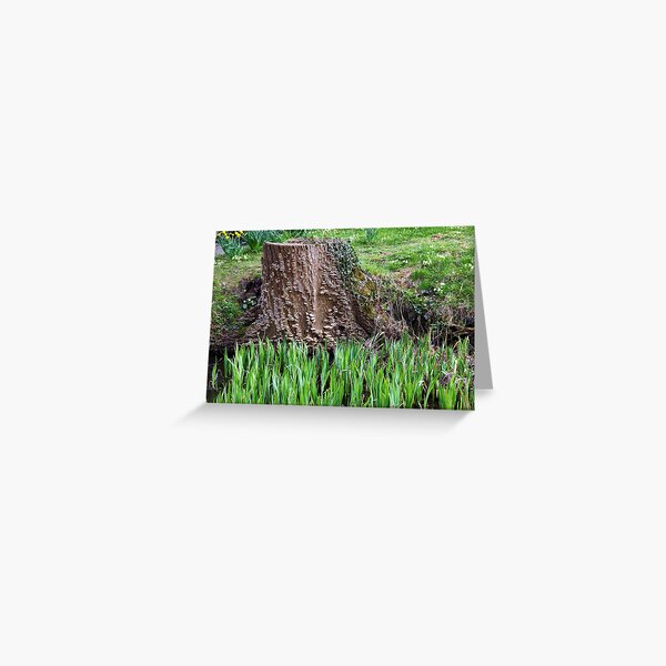 Tree Stump Greeting Card