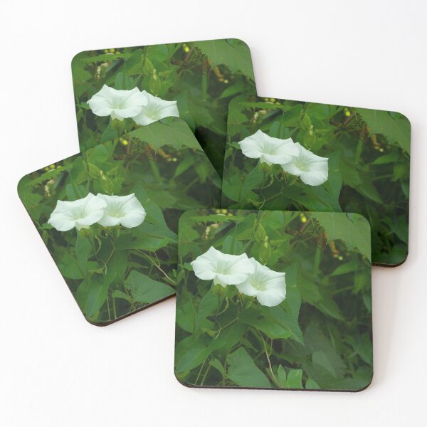 Item preview, Duet of bugles designed and sold by Joel Bader.