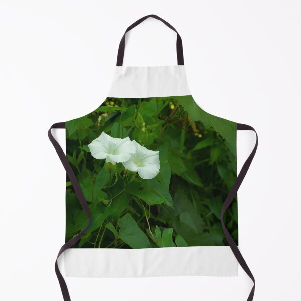 Item preview, Duet of bugles designed and sold by Joel Bader.