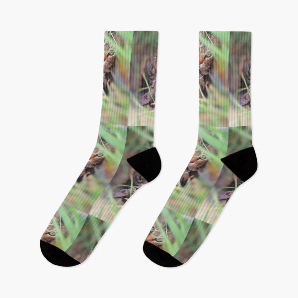 Item preview, Cats Looking at the Camera designed and sold by Abhitha Mohan.