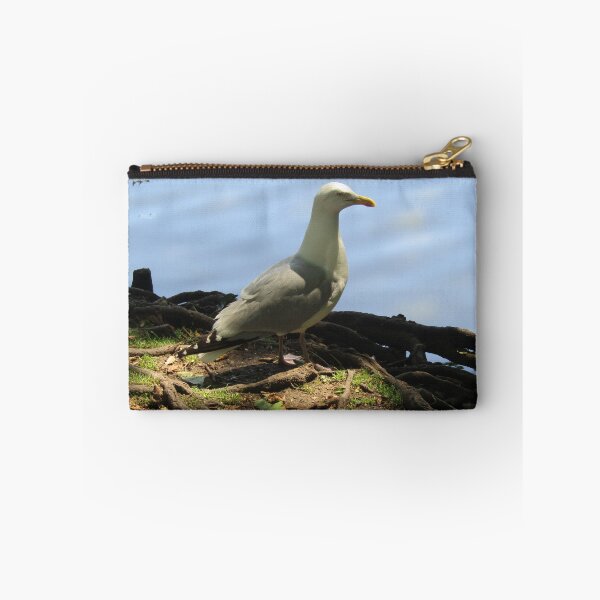 Item preview, Herring gull looking out over a blue lake designed and sold by joshuarainbird.