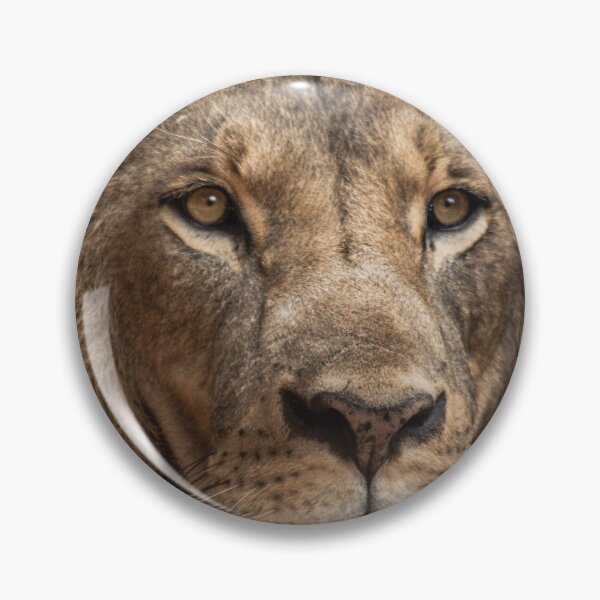 Aperçu de l'œuvre Lion réaliste créée et vendue par ShopManea.