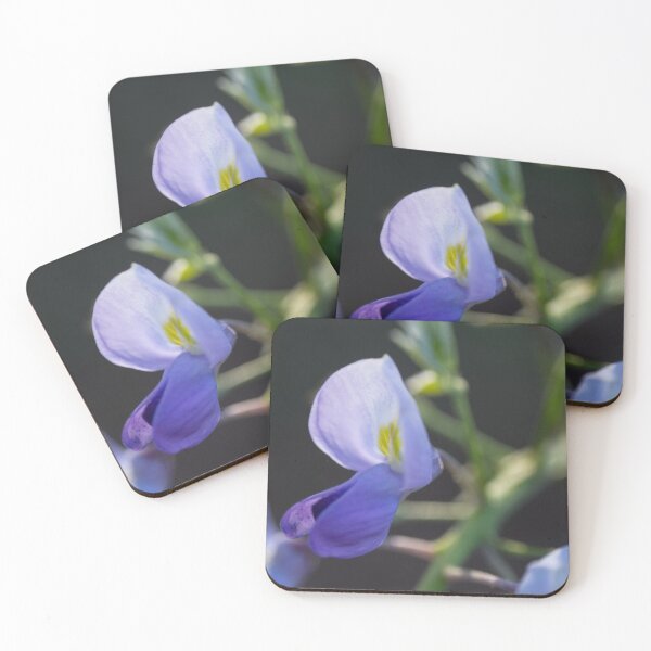Item preview, Blooming Wisteria designed and sold by TinyCameraNinja.